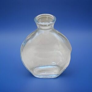 Bud Vase Propagation Glass 4.5" Tall 3" Wide Decorative Plant Holder